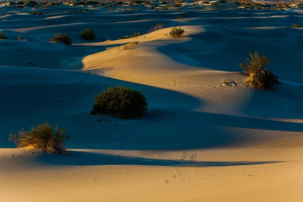 Khám phá vẻ đẹp hoang sơ của Mesquite Flat, với những cát trắng mịn màng và những đồi cát khổng lồ, đang chờ đón để bạn khám phá. Hãy xem hình ảnh liên quan để cảm nhận sự cô độc và độc đáo của nó.