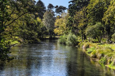 Nehir parkın içinden akar. Yeni Zelanda 'da Hint yazı. Güney Adası 'na git. Ekolojik ve fotoğraf turizmi kavramı. Christchurch Sahne Botanik Bahçesi