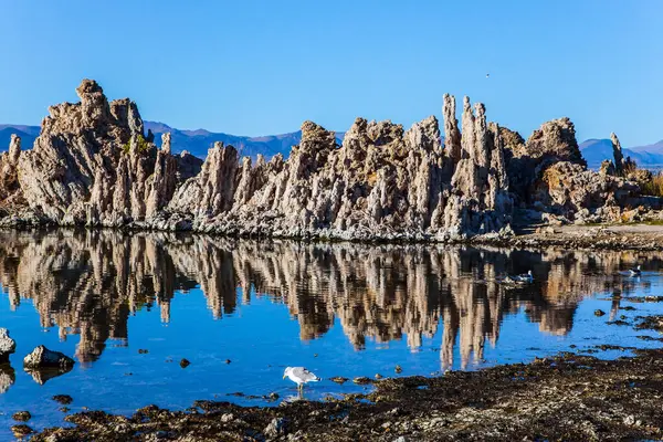 California Usa Picturesque Mono Lake Dusk Columns Remains Tufa Fantastically — Stock Photo, Image