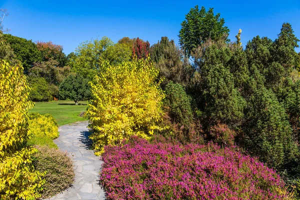 Bonito Prado Com Flores Iluminado Pelo Sol Christchurch Jardim Botânico — Fotografia de Stock