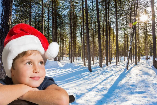 Laponya Kırmızı Noel Baba Şapkalı Yakışıklı Çocuk Gülümsüyor Kuzey Kutbu — Stok fotoğraf