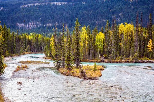 Montanhas Rochosas Canadá Florestas Outono Multicoloridas Crescem Longo Das Margens — Fotografia de Stock