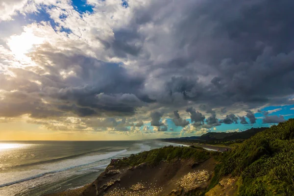 Bela Costa Ilha Norte Nova Zelândia Pôr Sol Colônia Nidificação — Fotografia de Stock