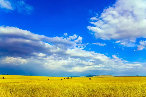 Travel Tropical Africa Horn Africa Gorgeous Cumulus Clouds Pile Grassy — Stock Photo, Image