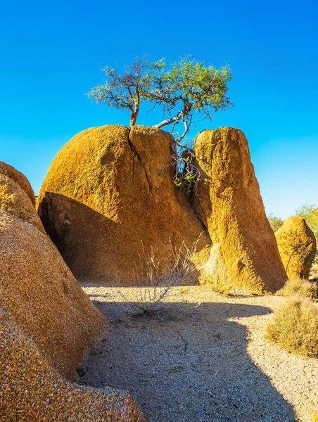 Deserto Pedra Pedras Deserto Spitskoppe Viajar Para África Conceito Ativo — Fotografia de Stock