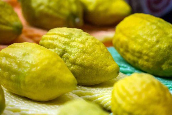 Etrog Agrume Rituale Vacanza Autunno Ebrea Sukkot Festa Dei Tabernacoli — Foto Stock