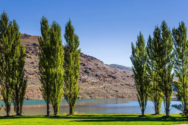 Zypressenallee Malerische Hügel Und Blauer See Der Umgebung Des Cromwell — Stockfoto