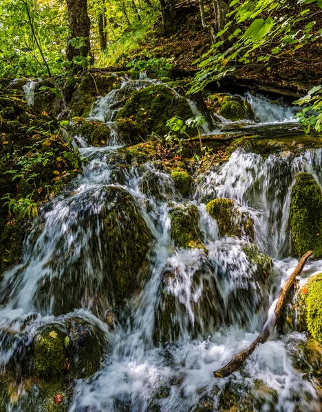 Höstresa Till Kroatien Plitvicesjöarna Pittoreska Vattenfall Tjock Lövskog Solig Varm — Stockfoto