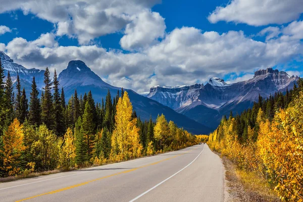 Magnifico Autunno Del Nord Foglie Gialle Arancioni Adornano Paesaggio Eccellente — Foto Stock