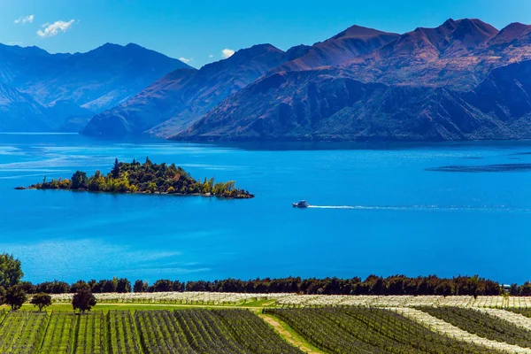 Adorable little island in the Lake Wanaka. Greeting postcard. Picturesque vineyard descends down to the water. New Zealand, South Island. The concept of ecological and photo tourism