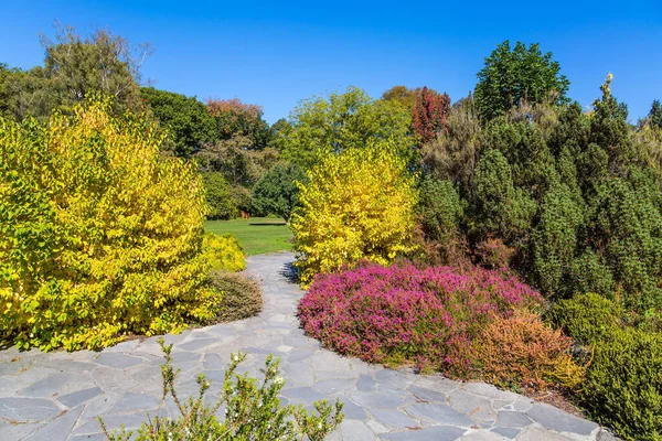 Bonito Prado Com Flores Iluminado Pelo Sol Christchurch Jardim Botânico — Fotografia de Stock