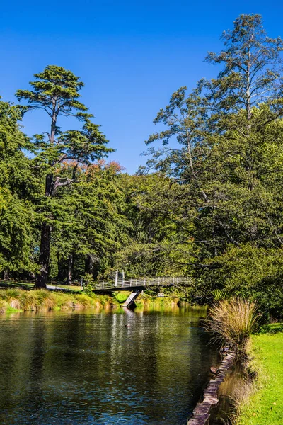 静かな川の上に絵のような橋 むしろ川が公園を流れる インドの夏 クライストチャーチ風景植物園 ニュージーランドへの旅行 生態観光と写真観光の概念 — ストック写真