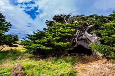 Antarktika'dan güçlü rüzgar 