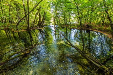 Bulutlu bir günde Plitvice gölleri