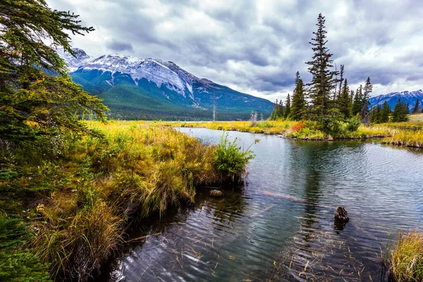 Jedle a hory Kanady — Stock fotografie