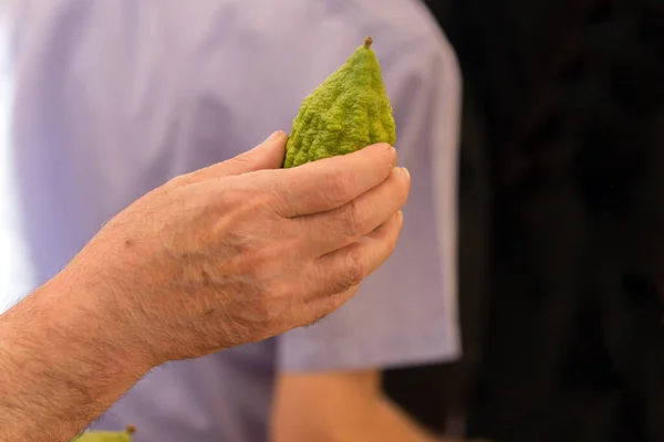 The annual bazaar for the holiday Sukkot — Stock Photo, Image