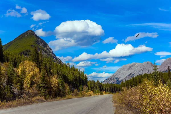 Rocky Mountain Asphalt Highway — Stock Photo, Image