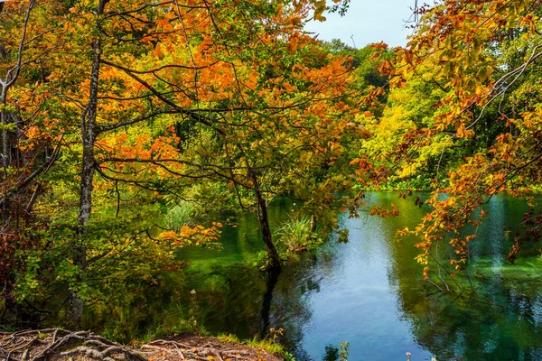 Röda apelsinblad från höstträd — Stockfoto