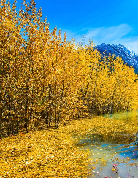 Reise in den goldenen Herbst — Stockfoto
