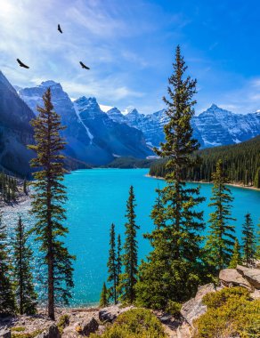  Zümrüt suyla Moraine Gölü. Dağ kartalı sürüsü güneş ışığında dönüyor. Kanada Kayalık Dağları, Alberta ili. Ekolojik, fotografik ve aktif turizm kavramı