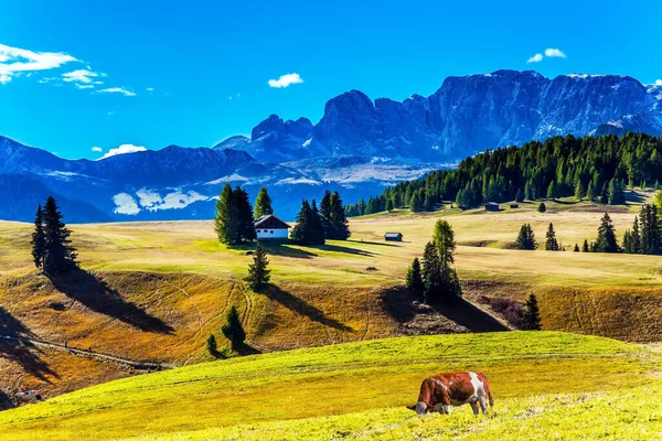 Les Dolomites Italie Journée Ensoleillée Pour Photographie Randonnée Magnifique Crête — Photo