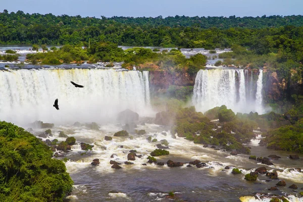 神奇的咆哮伊瓜苏瀑布 安第斯神鹰在水尘中飞翔 三个国家边界上的伊瓜苏瀑布形成了巨大的综合体 积极和极端旅游的概念 — 图库照片