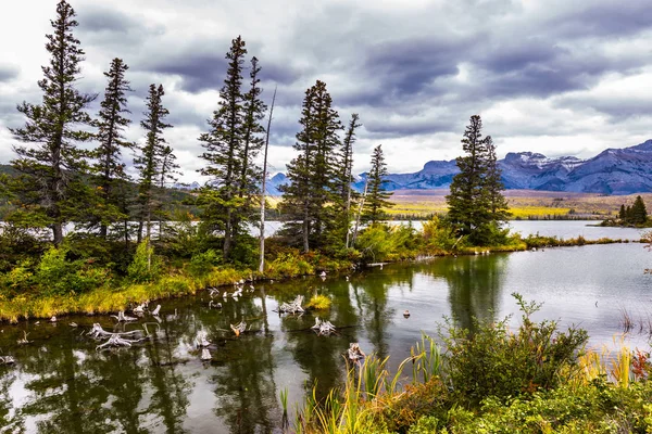 贾斯珀国家公园加拿大落基山脉广阔的山谷 美丽的秋天生态 积极和摄影旅游的概念 — 图库照片