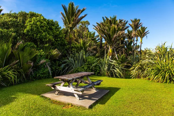 Stół Ławki Piknik Słonecznej Łące Podróż Egzotycznego Kraju Nowa Zelandia — Zdjęcie stockowe