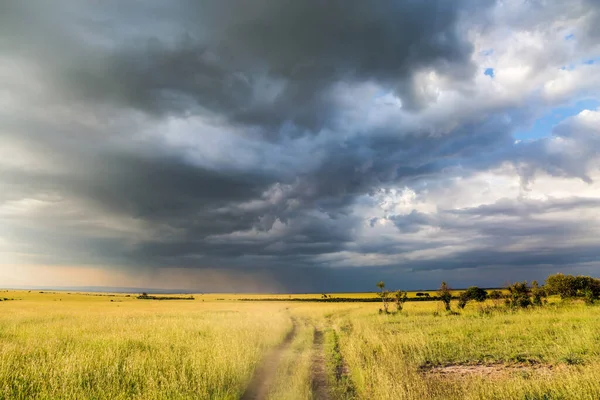 Hujan Awan Atas Sabana Safari Tur Taman Nasional Amboseli Kenya — Stok Foto