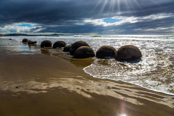 The concept of exotic and ecological tourism. The South Island of New Zealand. Popular tourist attraction. Moeraki Boulders is the group of large spherical boulders. Low tide in the Pacific ocean