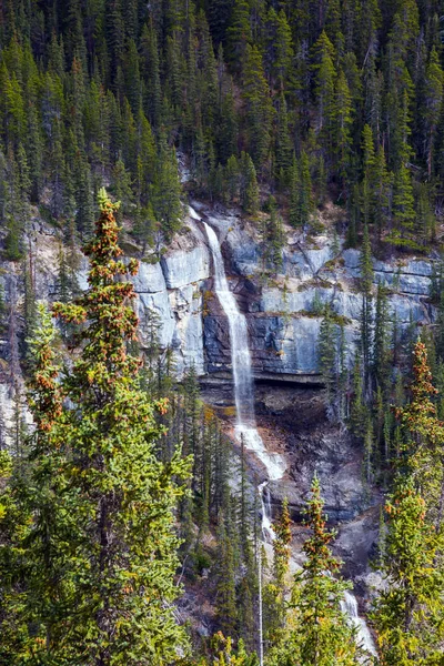 Travel Rocky Mountains Canada Rough Mountain Falls Narrow Canyon Concept — Stock Photo, Image