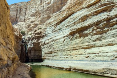 İsrail 'de bahar. Kanyon yamaçları suya yansır. Negev Çölü 'ndeki Ein Avdat kanyonu boyunca akar. Ekolojik, fotoğraf ve aktif turizm kavramı