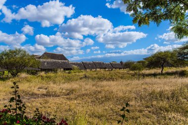  Yürüme yolu, bambu kaplı, kulübelere. Kilimanjaro Dağı 'nın eteğinde kamp yapmak. Kilimanjaro 'nun kar zirvesi. Kenya, Amboseli Parkı. Egzotik, ekolojik ve fotoğraf turizmi kavramı
