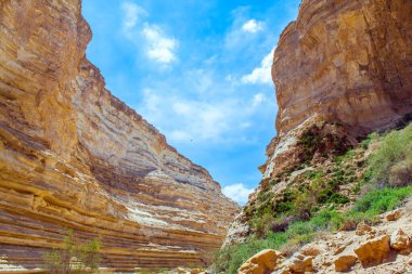 Negev Çölü 'ndeki Ein Avdat Kanyonu. Vadinin parlak tebeşir yamaçlarındaki resim gibi mağaralar. İsrail 'de harika bir bahar. Ekolojik, aktif ve fototürizm kavramı