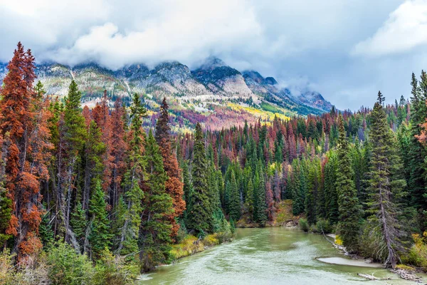 Malownicza Rzeka Wśród Gór Kolorowych Lasów Podróż Bajki Wielka Jesień — Zdjęcie stockowe