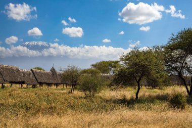 Bambu kaplı kulübeye giden yol. Kilimanjaro 'nun kar zirvesi. Amboseli Parkı, Kenya. Kilimanjaro Dağı 'nın eteğinde kamp yapmak. Egzotik, ekolojik ve fotoğraf turizmi kavramı