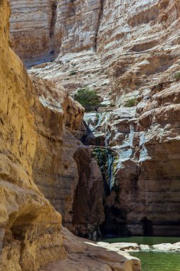 Şelalenin ince damlaları Ein Avdat. Kanyon ve gökyüzü suya yansıyor. Negev Çölü 'nde güneşli bir bahar günü, İsrail. Ekolojik, aktif ve fototürizm kavramı