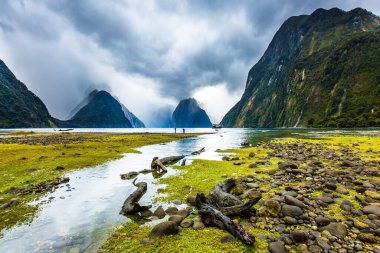 Yeni Zelanda. Milford Sound fiyort kıyısı bataklık çimleriyle kaplandı. Güneş ışığı fırtına bulutlarını delip geçiyor. Egzotik, aktif ve fotografik turizm kavramı