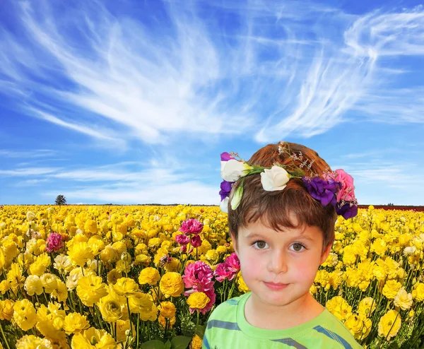 可爱的黄色花园蝴蝶 农场田里盛开的牧草 蓝色的天空中飘扬着海象云 五月多云的一天 生态旅游的概念 — 图库照片