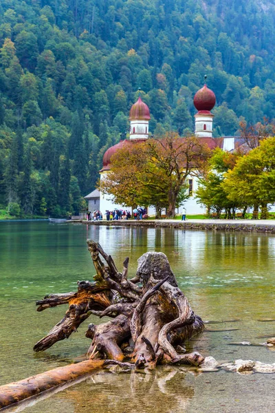 Schilderachtige Snags Ondiep Water Mountain Lake Koenigssee Kerk Bartholomew Een — Stockfoto