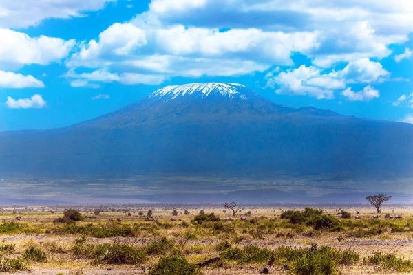 Imponująca Podróż Afryki Park Amboseli Jest Najczęściej Odwiedzanym Parkiem Kenii — Zdjęcie stockowe