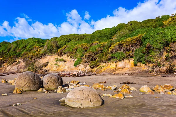 Popüler Turist Merkezi Yeni Zelanda Pasifik Okyanusu Nda Gelgit Var — Stok fotoğraf