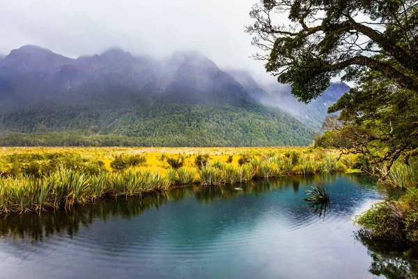ニュージーランドの南島の雄大な自然 ミルフォードサウンドへ行く途中の霧の朝 雲と霧の山々をカバーします エキゾチックで活動的で写真家という概念 — ストック写真