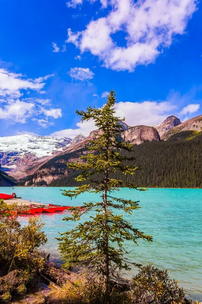 観光客のための赤いカヌーが海岸に係留されています 湖は高い山と針葉樹林に囲まれています カナダのロッキー山脈の氷河湖ルイーズ 生態観光と写真観光の概念 — ストック写真