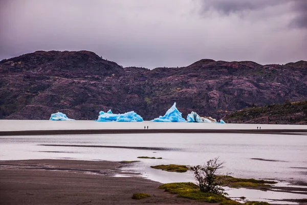 Lago Gray Şubatta Mavi Buzdağları Suda Yüzer Şili Torres Del — Stok fotoğraf