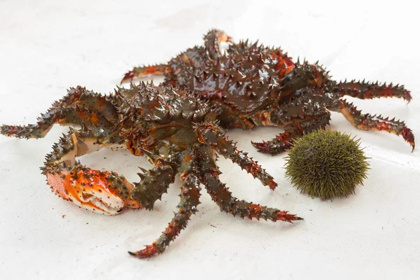 Freshly-Speared Kamchatka crabs and sea urchins on the deck of yacht. — Stock Photo, Image