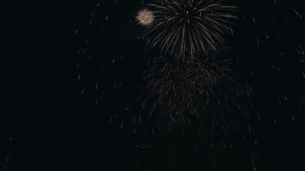 Hermosos fuegos artificiales bajo el río en el fondo del cielo negro . — Vídeos de Stock