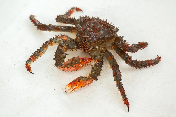 Crabe royal kamchatka fraîchement lancé sur le pont du yacht . — Photo