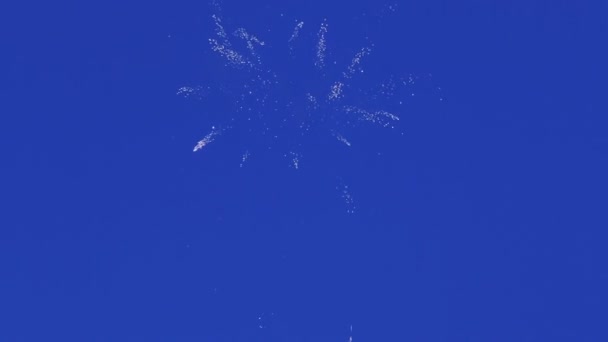 Hermosos fuegos artificiales en el fondo del cielo azul . — Vídeo de stock