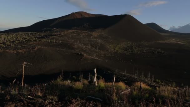 Νεκρό δάσος κοντά ηφαίστεια. — Αρχείο Βίντεο